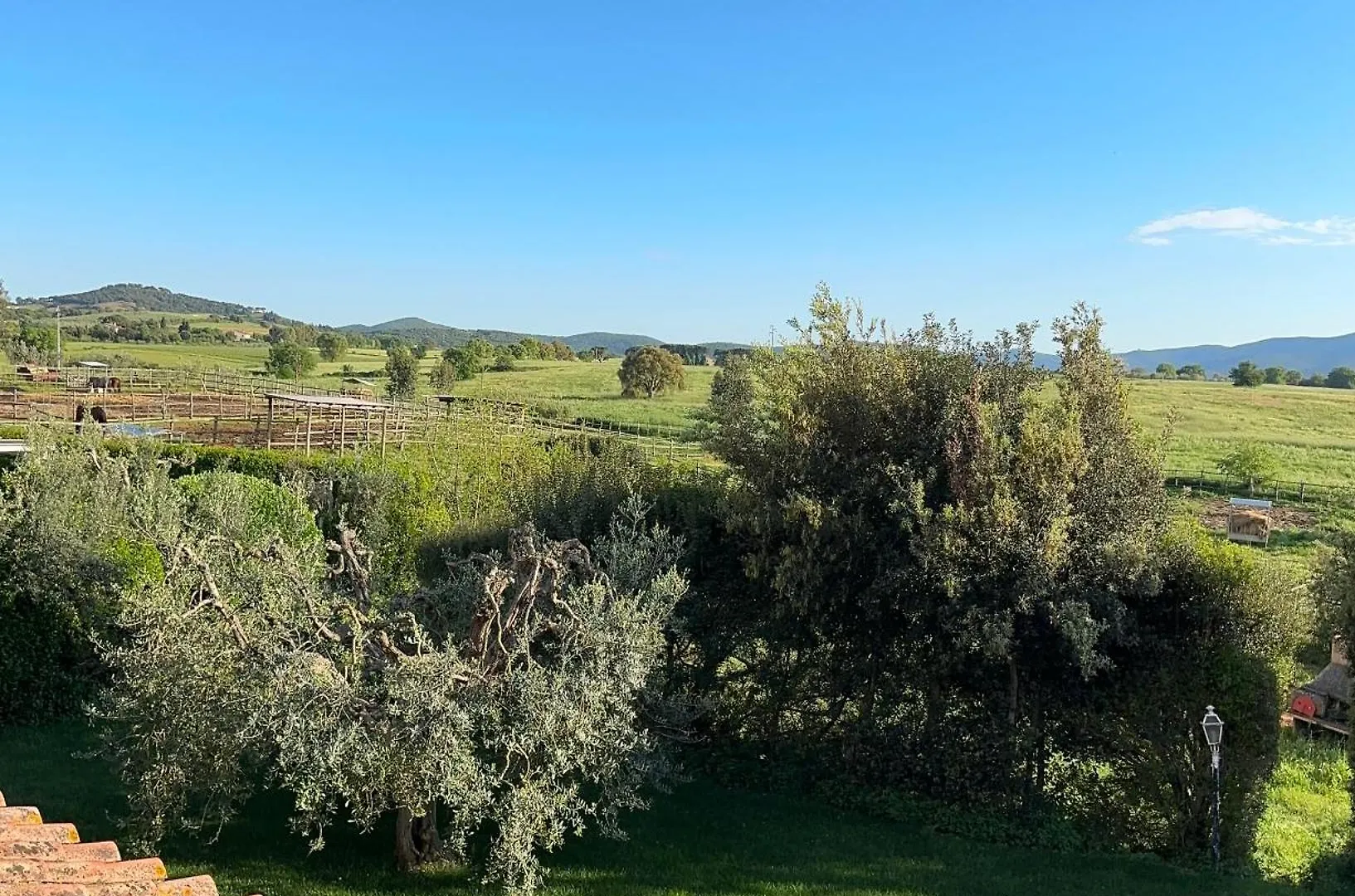 Bauernhof Bio Agriturismo Il Melograno Di Banditella Ristorante Alberese