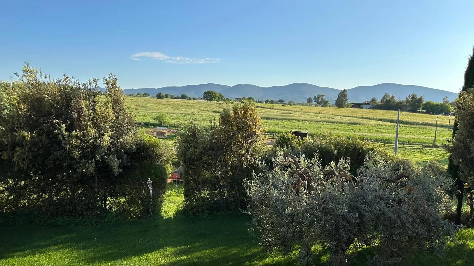 Bio Agriturismo Il Melograno Di Banditella Ristorante ألبيريزي مزرعة للإقامة