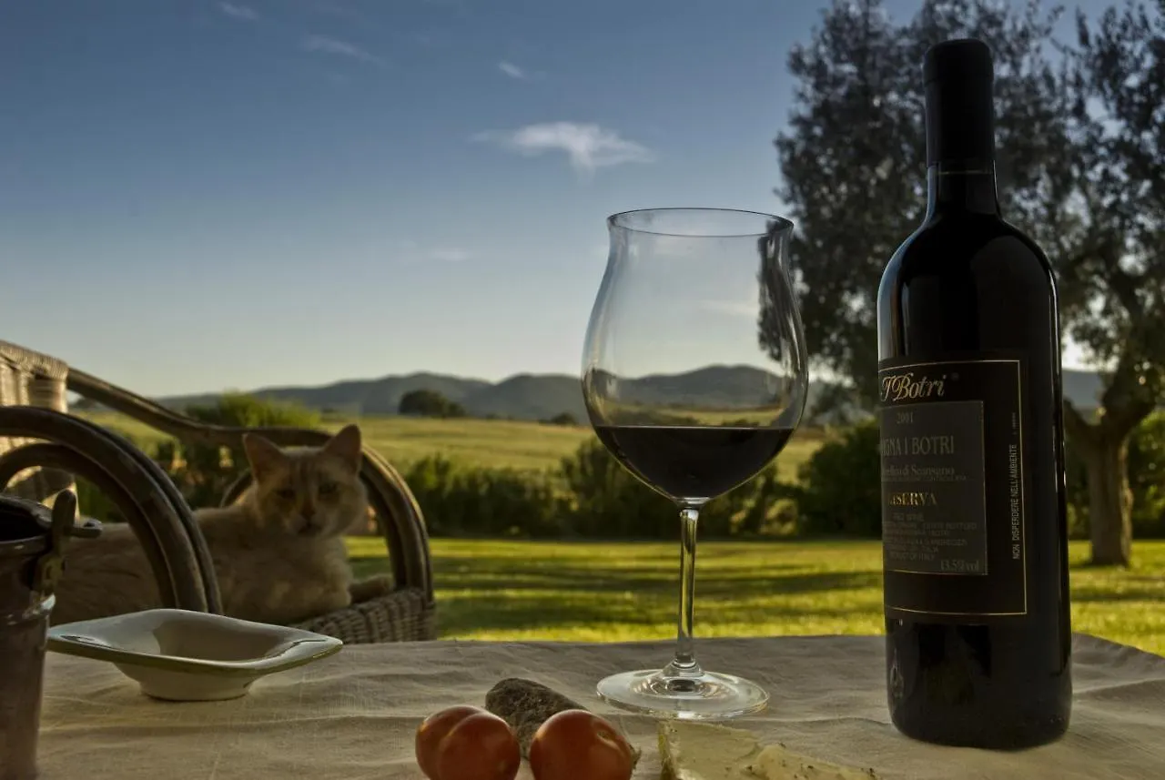 Bauernhof Bio Agriturismo Il Melograno Di Banditella Ristorante Alberese Italien