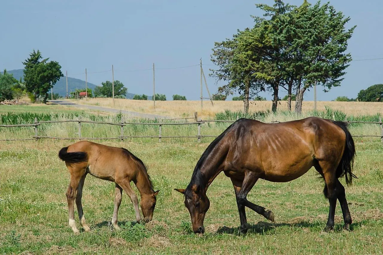 Bio Agriturismo Il Melograno Di Banditella Ristorante Alberese